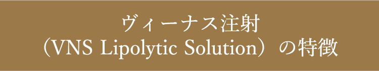 ヴィーナス注射(VNS Lipolytic Solution)の特徴